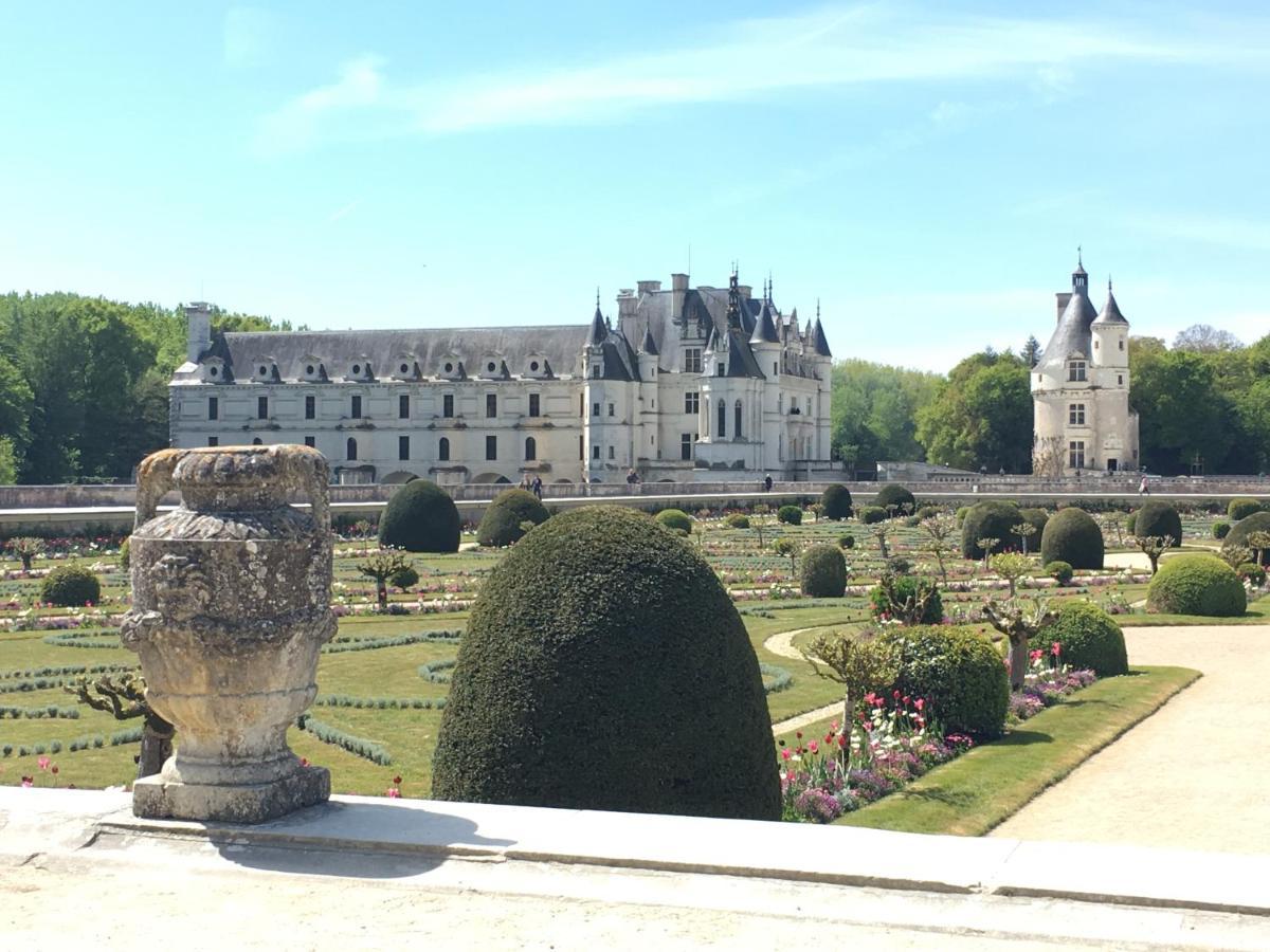 Sans Souci Bed And Breakfast Luxe Heated Pool And Restaurant Luzillé エクステリア 写真
