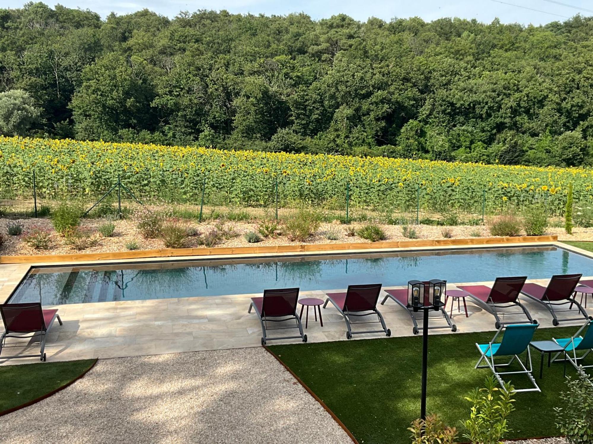 Sans Souci Bed And Breakfast Luxe Heated Pool And Restaurant Luzillé エクステリア 写真